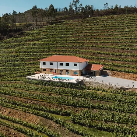 Casa Do Tojo Camelias De Basto - * Pedras Alvas