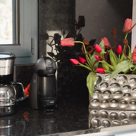 Casa Do Tojo Pedras Alvas