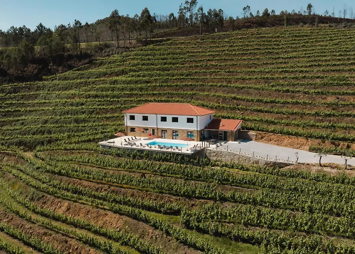 Casa Do Tojo Camelias De Basto - * Pedras Alvas