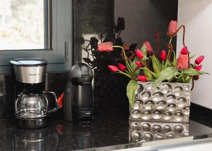 Casa Do Tojo Camelias De Basto - Pedras Alvas