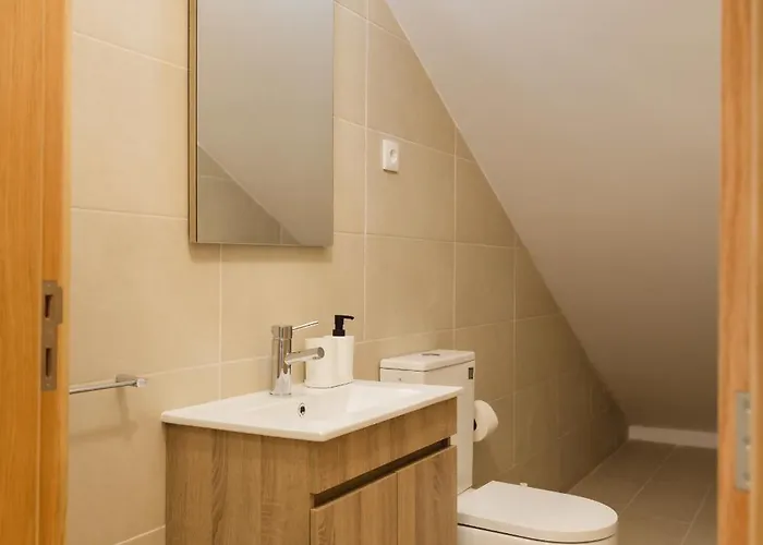 Casa Do Tojo Camelias De Basto - *